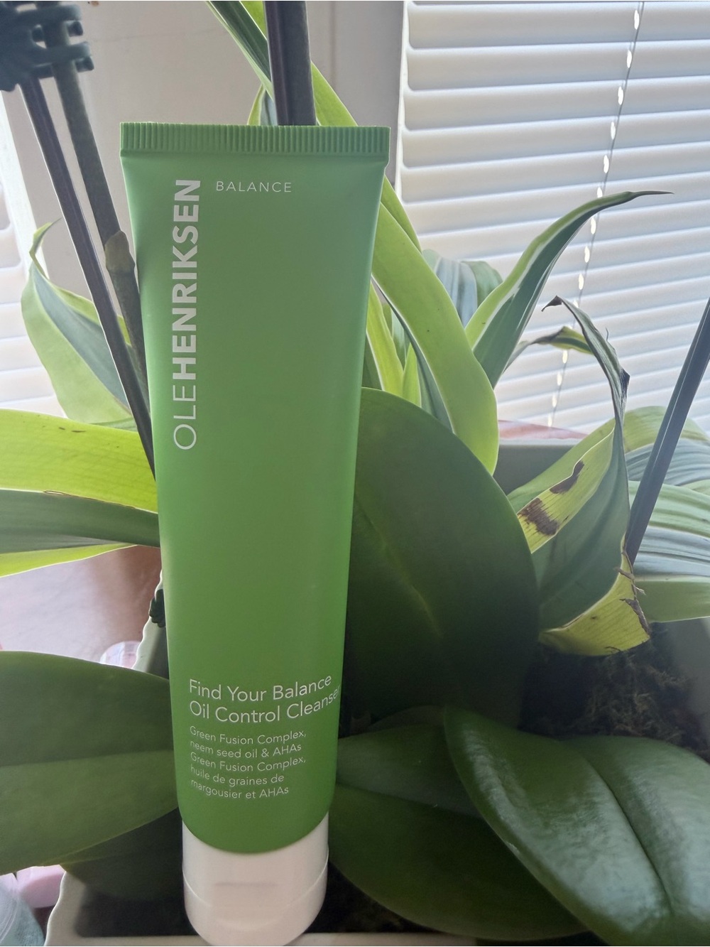 Ole Henriksen Green Find Your Balance Oil Control Cleanser